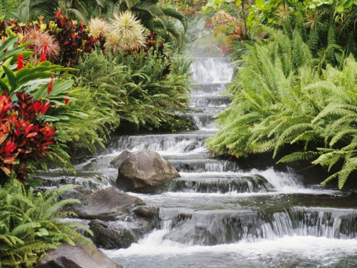 A cascading waterfall, flanked by flowers.