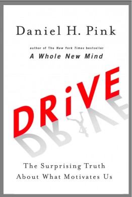 drive_book-by-daniel-pink_danpinkdotcom1