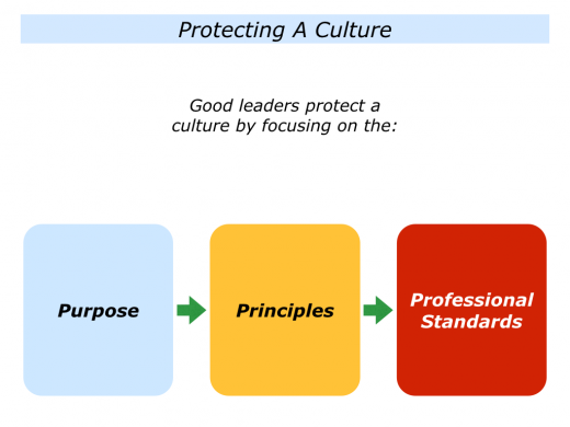 Slides Purpose, Principles and Professional Standards.001