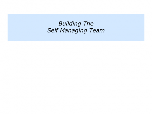 Slides Self Managing Team.021